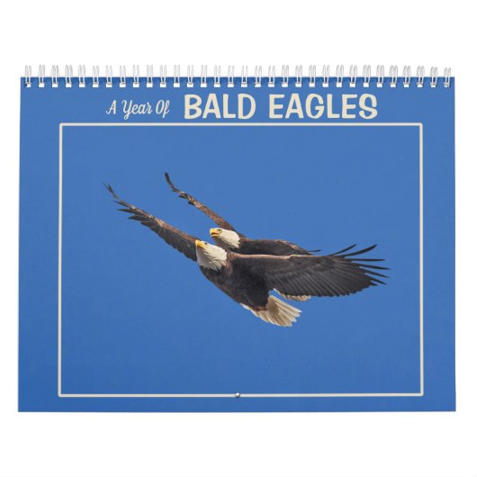Ein Jahr der Adler Kalender (Titelbild)