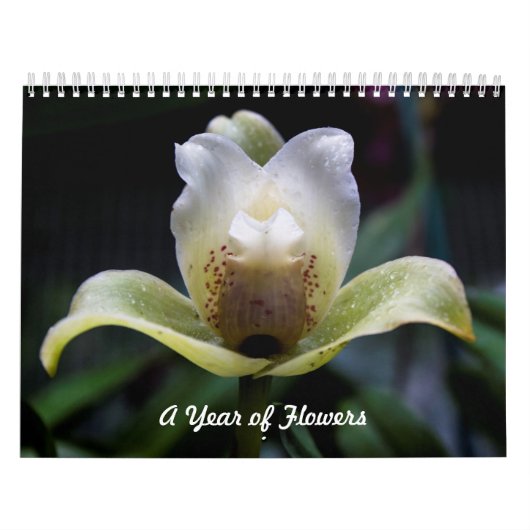 Ein Jahr der Blume Kalender (Titelbild)