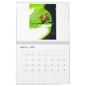 Ein Jahr der Frösche 2 Kalender (Feb 2026)