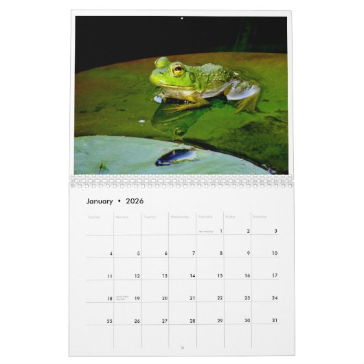 Ein Jahr der Frösche 2 Kalender (Jan 2026)