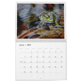 Ein Jahr der Frösche 2 Kalender (Mär 2027)