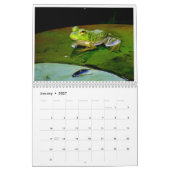 Ein Jahr der Frösche 2 Kalender (Jan 2027)
