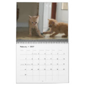 Ein Jahr der Fuzzybutten Kalender (Feb 2027)