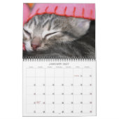 Ein Jahr der Fuzzybutten Kalender (Jan 2027)