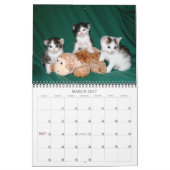 Ein Jahr der Fuzzybutten Kalender (Mär 2027)