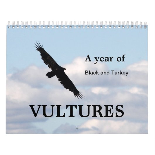 Ein Jahr der Geier Kalender (Titelbild)