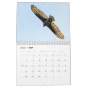 Ein Jahr der Geier Kalender (Mär 2027)