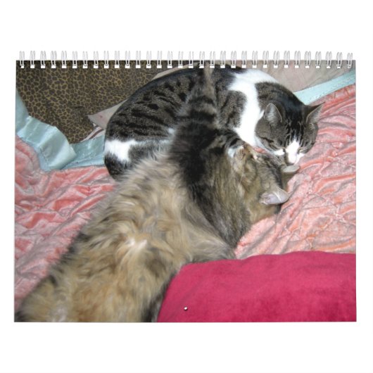 Ein Jahr der Kätzchen (US-Ausgabe) Kalender (Titelbild)