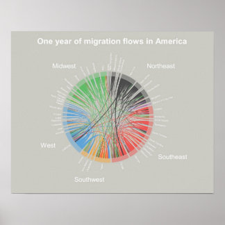 Ein Jahr der Migrationsströme in Amerika Poster