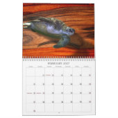 EIN JAHR DER NATUR KALENDER (Feb 2027)