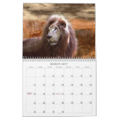 EIN JAHR DER NATUR KALENDER (Mär 2027)