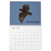 Ein Jahr der Raubvögel Kalender (Mär 2027)