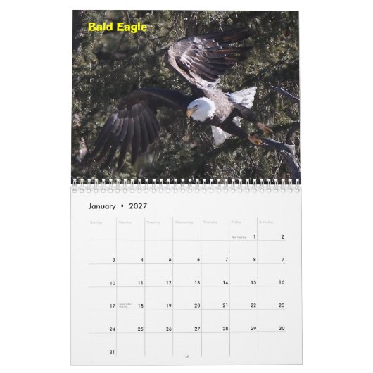 Ein Jahr der Raubvögel Kalender (Jan 2027)