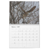 Ein Jahr der Raubvögel Kalender (Feb 2027)