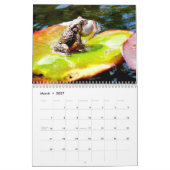Ein Jahr des Froschkalenders Kalender (Mär 2027)