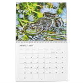 Ein Jahr des Froschkalenders Kalender (Jan 2027)