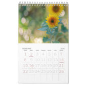 Ein Jahr des Kalenders der Sonnenblume-2013 Kalender (Feb 2026)
