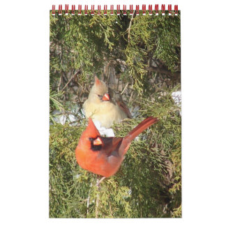 Ein Jahr des Kardinals Kalender