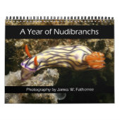 Ein Jahr des Nudibranchs-Kalenders Kalender (Titelbild)