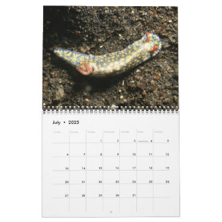 Ein Jahr des Nudibranchs-Kalenders Kalender
