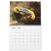 Ein Jahr des Nudibranchs-Kalenders Kalender (Feb 2026)