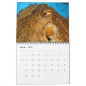 Ein Jahr des Oktopus-Kalenders Kalender (Mär 2026)