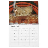 Ein Jahr des Oktopus-Kalenders Kalender (Feb 2026)
