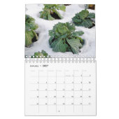 Ein Jahr im Bio Garten Kalender (Jan 2027)