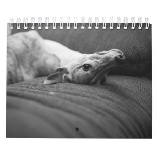 Ein Jahr im Leben von Enzo Kalender