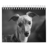 Ein Jahr im Leben von Enzo Kalender (Titelbild)