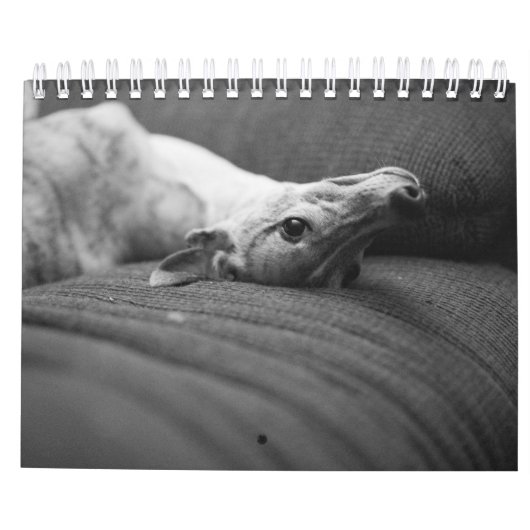 Ein Jahr im Leben von Enzo Kalender (Rückseite)