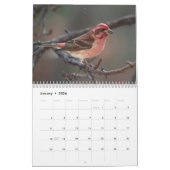 Ein Jahr im Vogelkalender Kalender (Jan 2026)