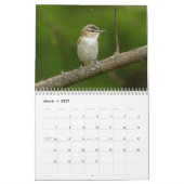 Ein Jahr im Vogelkalender Kalender (Mär 2027)