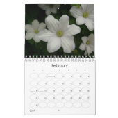 Ein Jahr in den Früchten, im Gemüse und in den Kalender (Feb 2027)