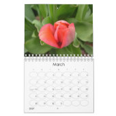 Ein Jahr in den Früchten, im Gemüse und in den Kalender (Mär 2027)