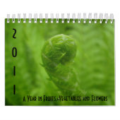 Ein Jahr in den Früchten, im Gemüse und in den Kalender (Titelbild)