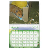 Ein Jahr in Hamstern 2010 Kalender (Mär 2027)