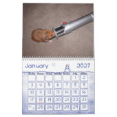 Ein Jahr in Hamstern 2010 Kalender (Jan 2027)