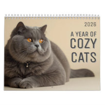 Ein Jahr Katzenkalender zum Wohlfühlen