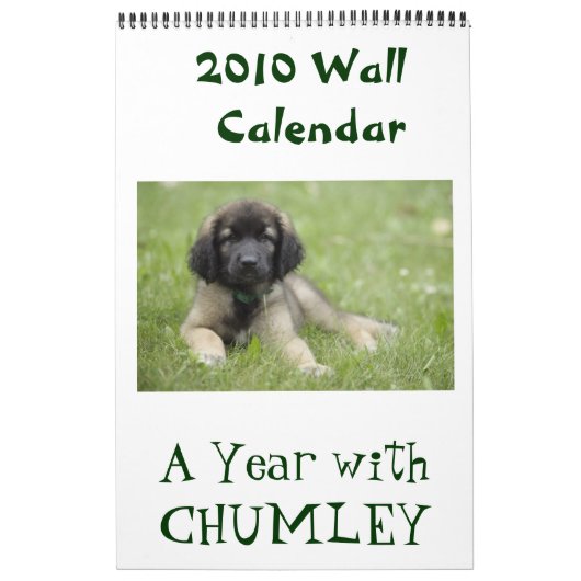 Ein Jahr mit Chumley 2010 Wandkalender (Titelbild)
