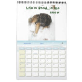 Ein Jahr mit Chumley 2010 Wandkalender (Feb 2027)