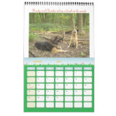 Ein Jahr mit Chumley 2010 Wandkalender (Mär 2027)