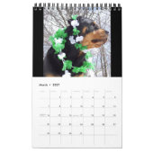 "Ein Jahr mit Kalender 2016 Annie" Rottweiler (Mär 2027)