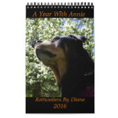 "Ein Jahr mit Kalender 2016 Annie" Rottweiler (Titelbild)
