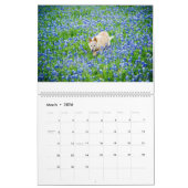 Ein Jahr mit Matilda:Kalender 2020 Kalender (Mär 2026)