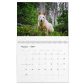 Ein Jahr mit Matilda:Kalender 2020 Kalender (Feb 2027)