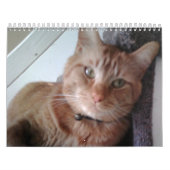 Ein Jahr mit Pokey Kalender (Titelbild)