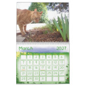 Ein Jahr mit Pokey Kalender (Mär 2027)
