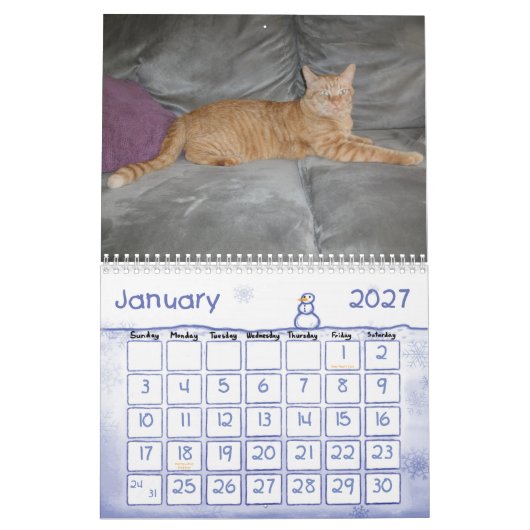 Ein Jahr mit Pokey Kalender (Jan 2027)