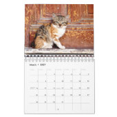 Ein Jahr Niedlicher Kittenfotografie Kalender (Mär 2027)